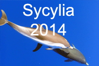 Sycylia 2014